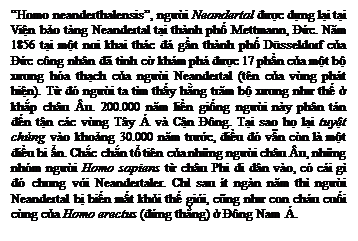 Zone de Texte: Homo neanderthalensis, người Neandertal được dựng lại tại Viện bảo tng Neandertal tại thnh phố Mettmann, Đức. Năm 1856 tại một nơi khai thc đ gần thnh phố Dsseldorf của Đức cng nhn đ tnh cờ khm ph được 17 phần của một bộ xương ha thạch của người Neandertal (tn của vng pht hiện). Từ đ người ta tm thấy hằng trăm bộ xương như thế ở khắp chu u. 200.000 năm liền giống người ny phn tn đến tận cc vng Ty  v Cận Đng. Tại sao họ lại tuyệt chủng vo khoảng 30.000 năm trước, điều đ vẫn cn l một điều bi ẩn. Chắc chắn tổ tin của những người chu u, những nhm người Homo sapiens từ chu Phi di dn vo, c ci g đ chung với Neandertaler. Chỉ sau t ngn năm th người Neandertal bị biến mất khỏi thế giới, cũng như con chu cuối cng của Homo erectus (đứng thẳng) ở Đng Nam .

