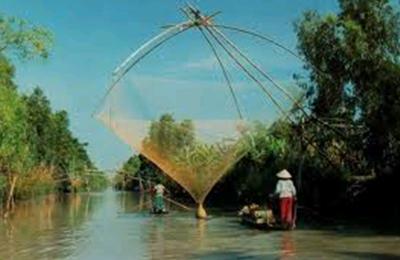 https://lh5.googleusercontent.com/-jDHn0gjzBM0/Tfh62DrcwRI/AAAAAAAABGw/sdTZ4Bv_9zQ/spvl_to_tinh_1.jpg