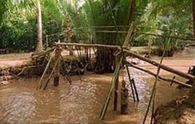 https://lh4.googleusercontent.com/-8phDkzieGl0/Tfh651rQd8I/AAAAAAAABHk/lHE05dBNzB4/spvl_to_tinh_16.jpg