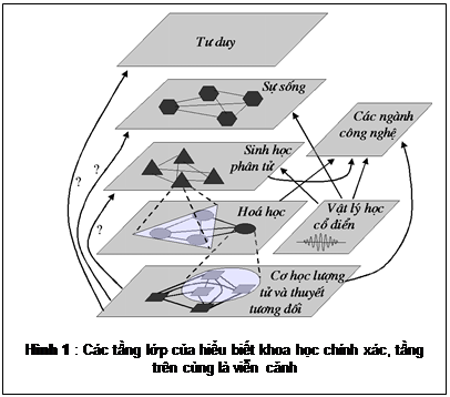 Zone de Texte:  

Hnh 1 : Cc tầng lớp của hiểu biết khoa học chnh xc, tầng trn cng l viễn cảnh
