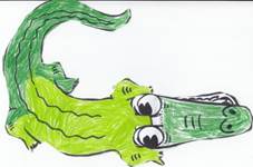 Crocodile