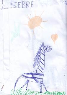 Zebre