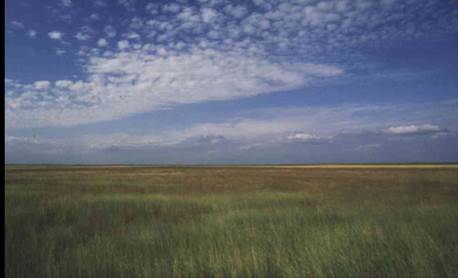 http://birdinghungary.com/gfx3/puszta2.jpg