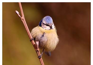 http://pixabay.com/static/uploads/photo/2014/09/10/05/01/calendar-440580_640.jpg