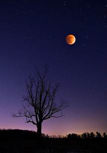https://theuniversalspectator.files.wordpress.com/2014/04/blood-moon.jpg?w=560