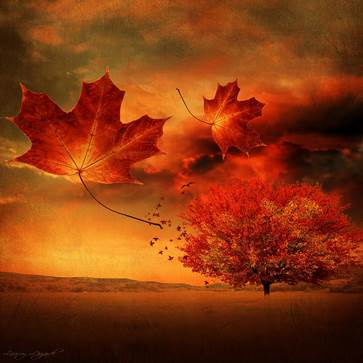 http://verseskonyv.hu/wp-content/uploads/2013/10/%C5%90sz1.jpg