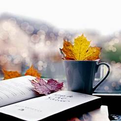http://i.weather.com.cn/images/cn/life/2013/10/20/B2F6ECD36EAE4A379E0BCB14A95BC368.jpg