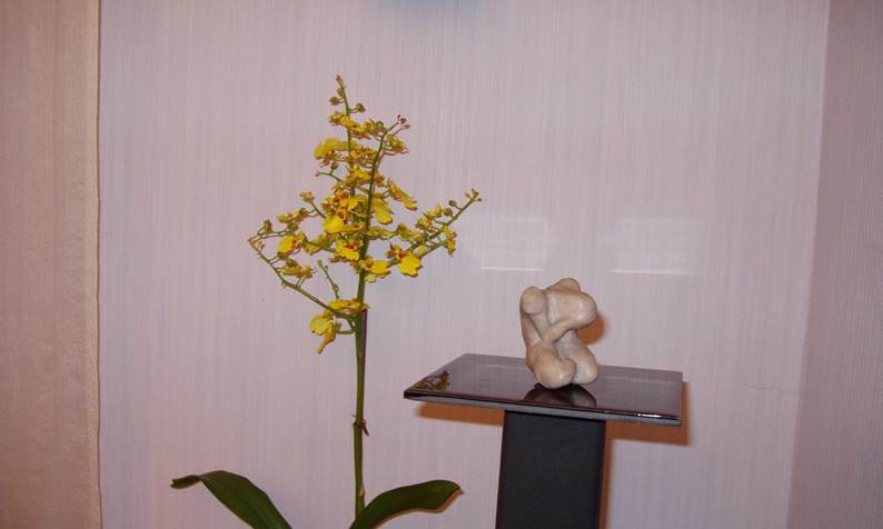 PA050030