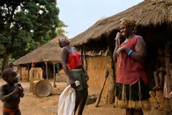 Image result for West African Life