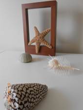 http://3.bp.blogspot.com/-T2fTn_1NQaA/UfZ5gJG00aI/AAAAAAAADMo/O7BdqY_SRMM/s1600/nature+morte.JPG